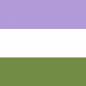 Genderqueer Pride Vlag