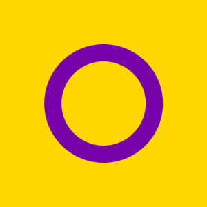 Intersekse Pride Vlag Intersekse Pride Vlag